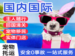 黔江武陵山机场货运国际宠物托运 【国